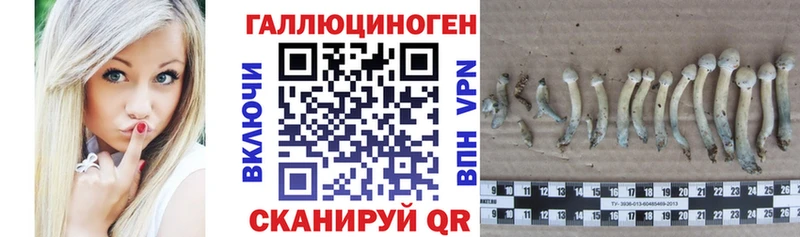 Купить закладки  Строитель  Галлюциногенные грибы Magic Shrooms 