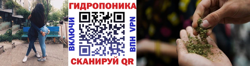 Каннабис гибрид  Купить закладки  Строитель 